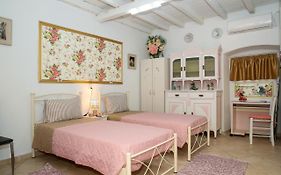 Conte Studio